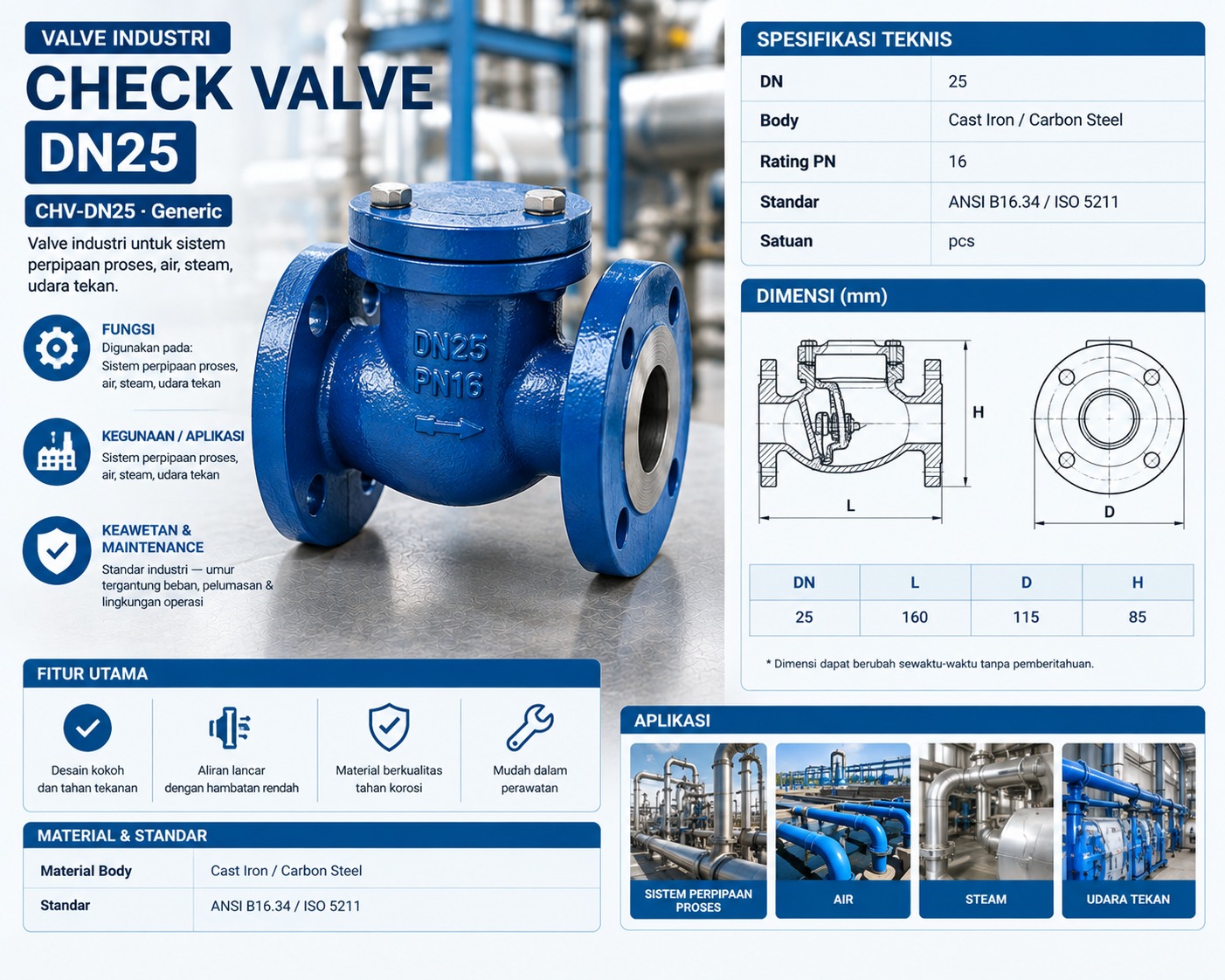 Check Valve DN25